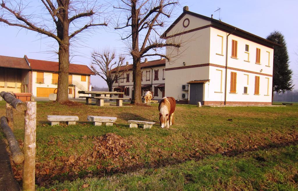 Bed And Breakfast Azienda Agricola Cascina Salazzara Маджента Екстер'єр фото